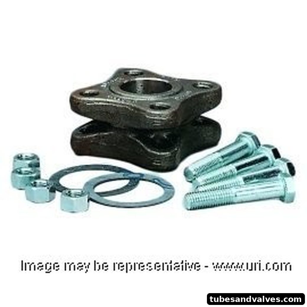 Ammonia FLANGE SET COMP