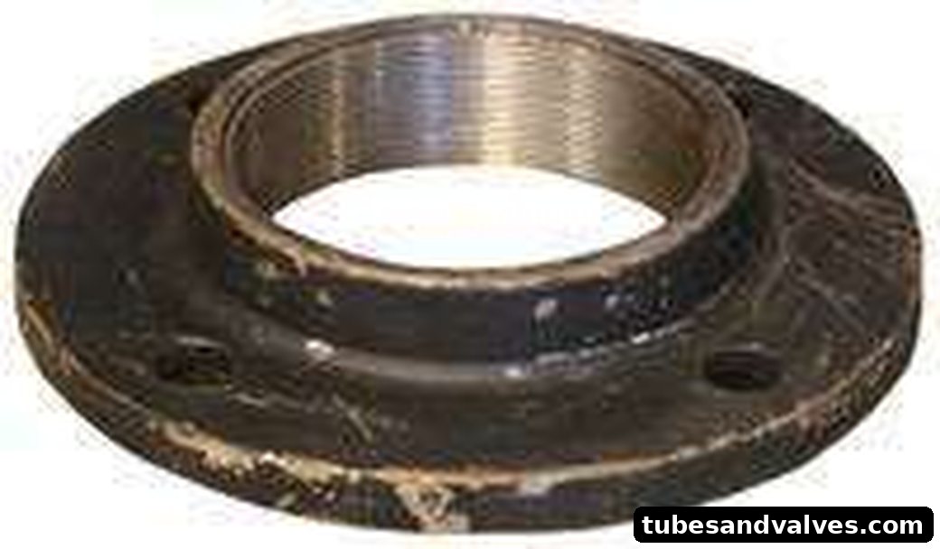 MS Threaded Flange