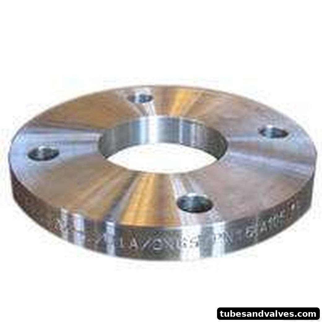 SS 304 Slipon Flange
