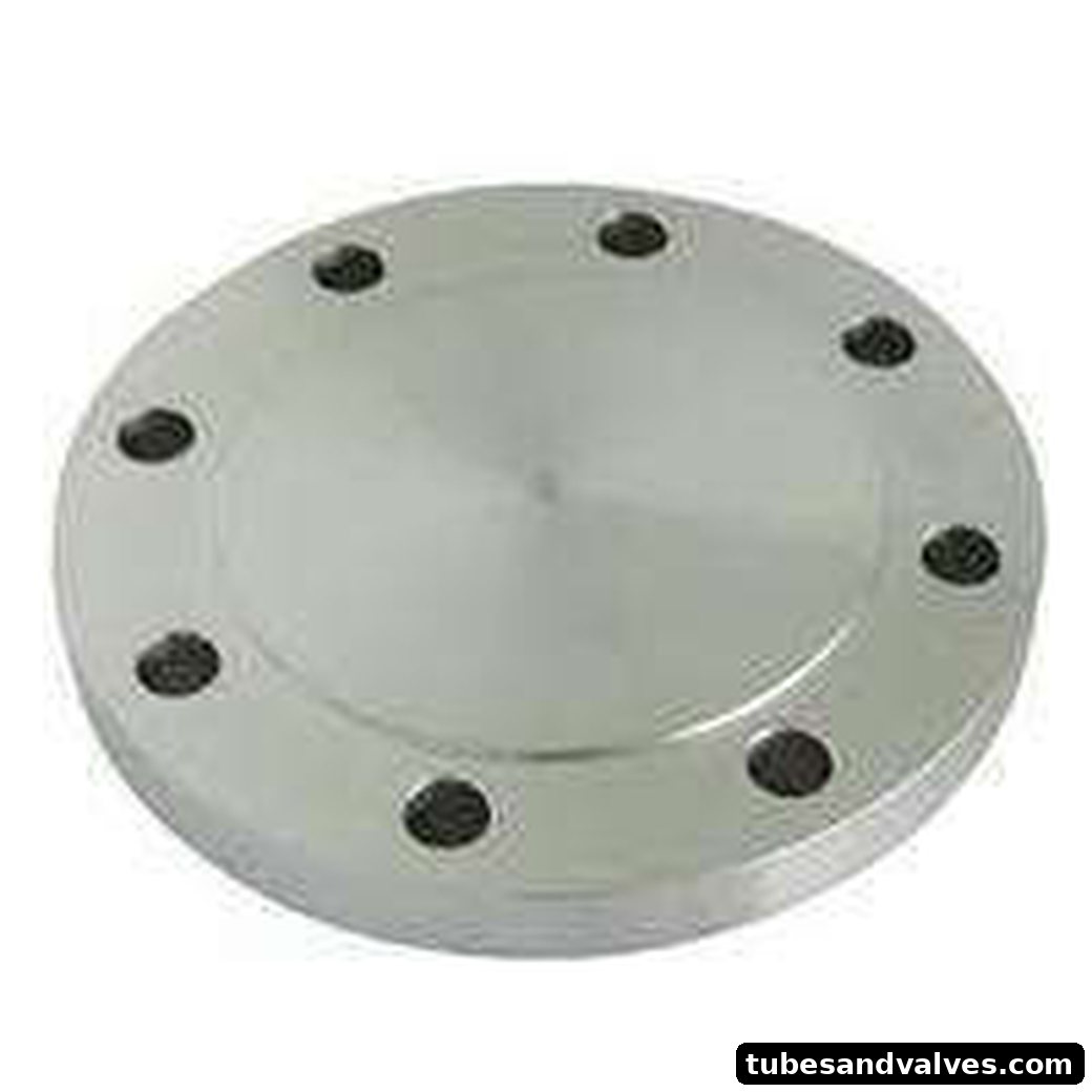 SS 304 Dummy / Blind Flange