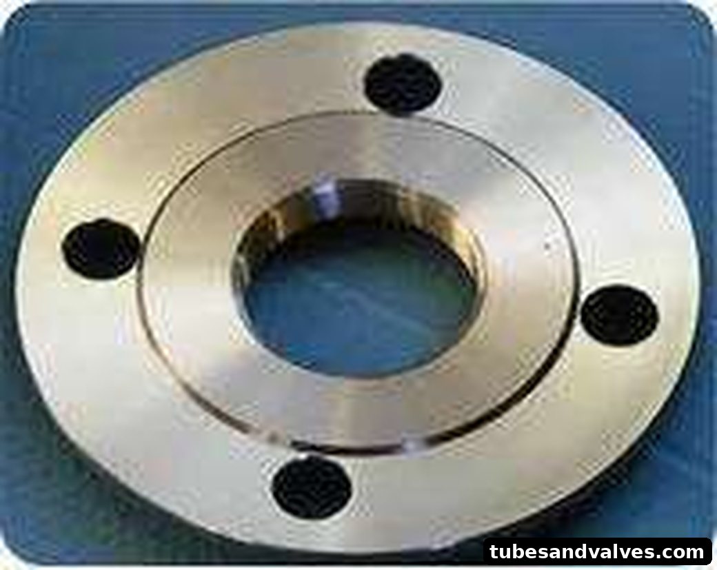 SS 316 Slipon Flange
