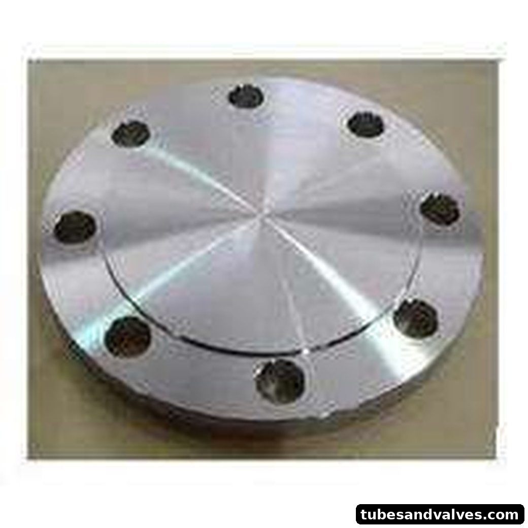 SS 316 Dummy / Blind Flange