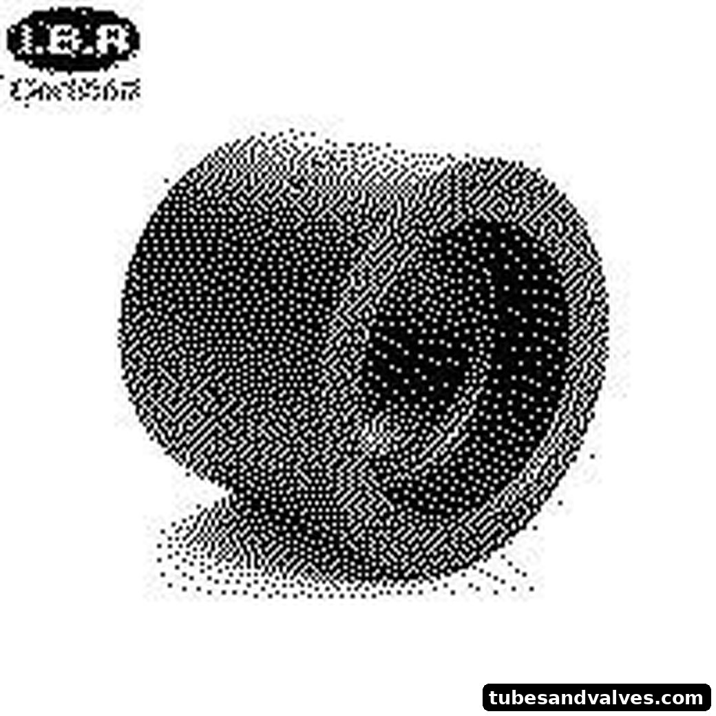 IBR Coupling Socketweld