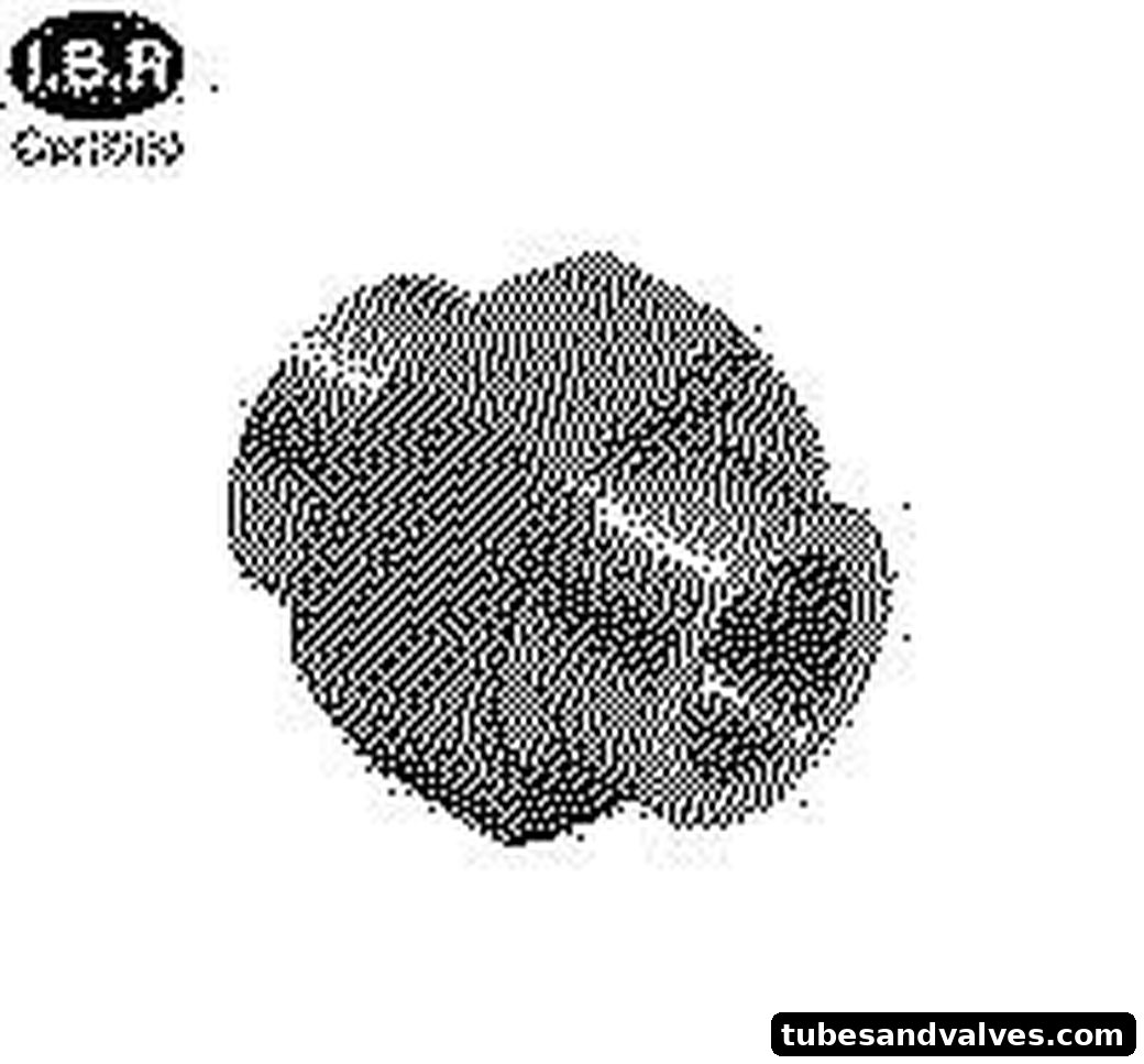 IBR Union Socketweld