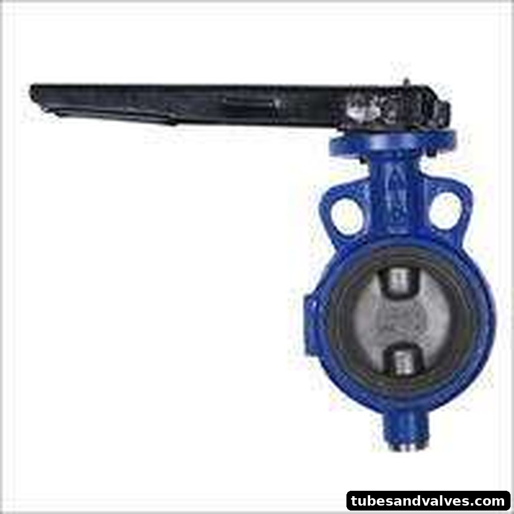Butterfly Valve with SG Iron Disc MS Spindle Bajpai