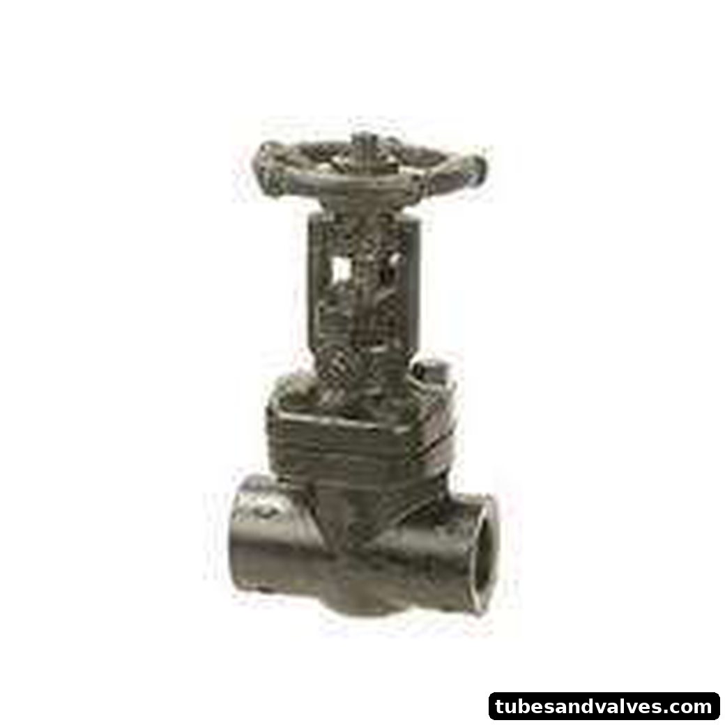 Forged Carbon Steel Gate Valve