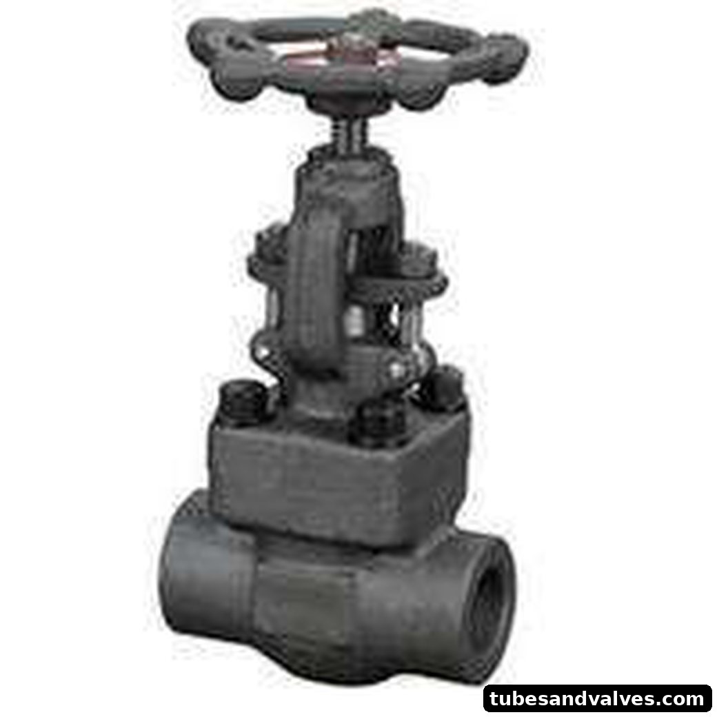 Forged Carbon Steel Globe Valve