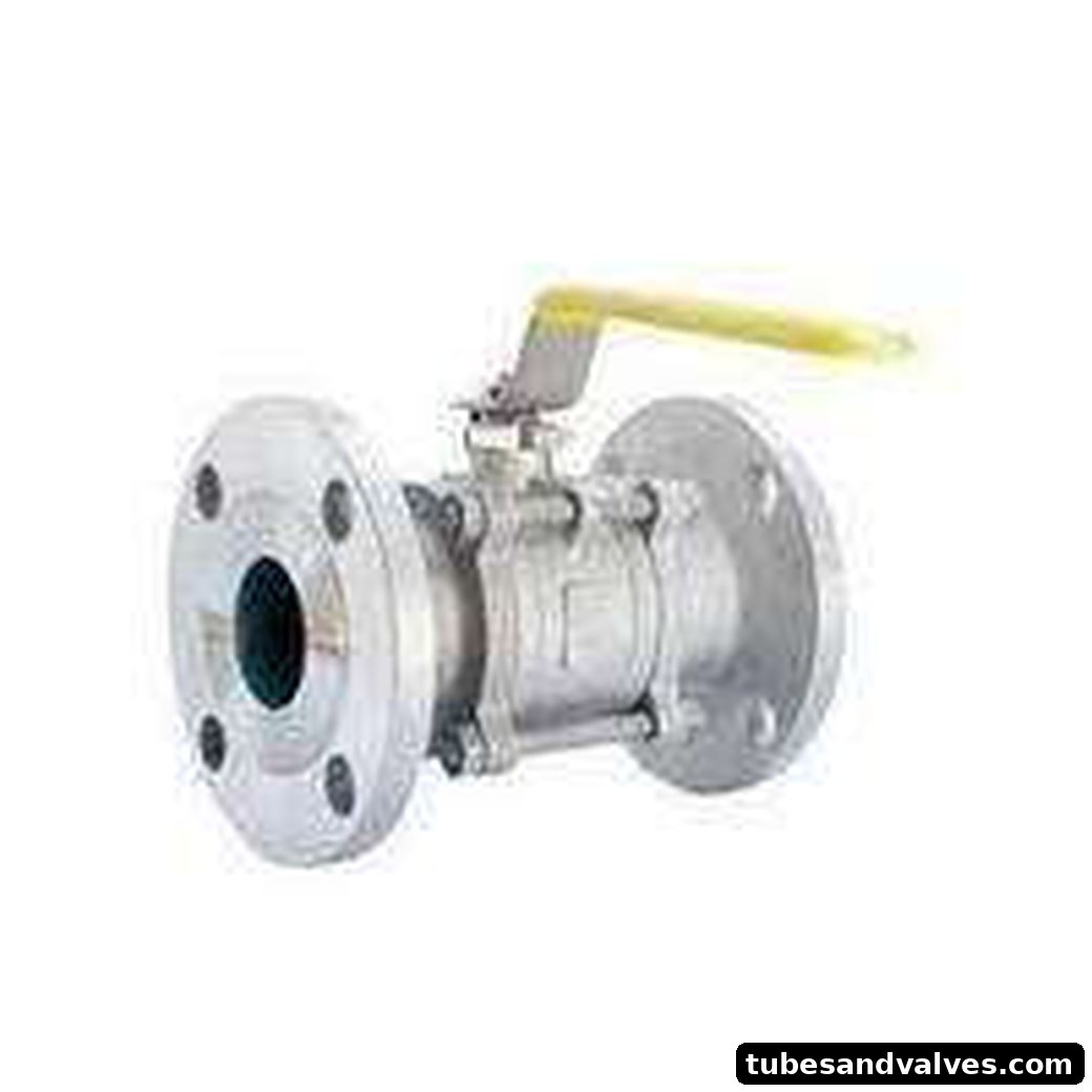 3.Pcs Cf8M (316) Flowjet