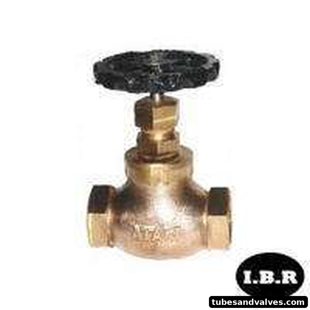 Bronze Globe Valve S/E Atam IBR