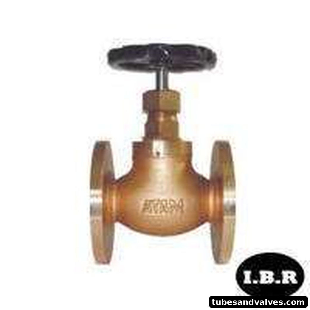 Bronze Globe Valve F/E Atam IBR