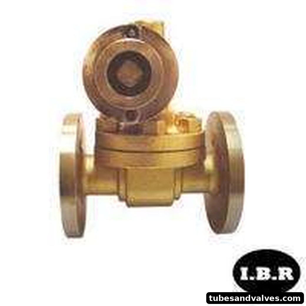 Bronze Parallel Slide Blow Off Valve F/E Atam IBR