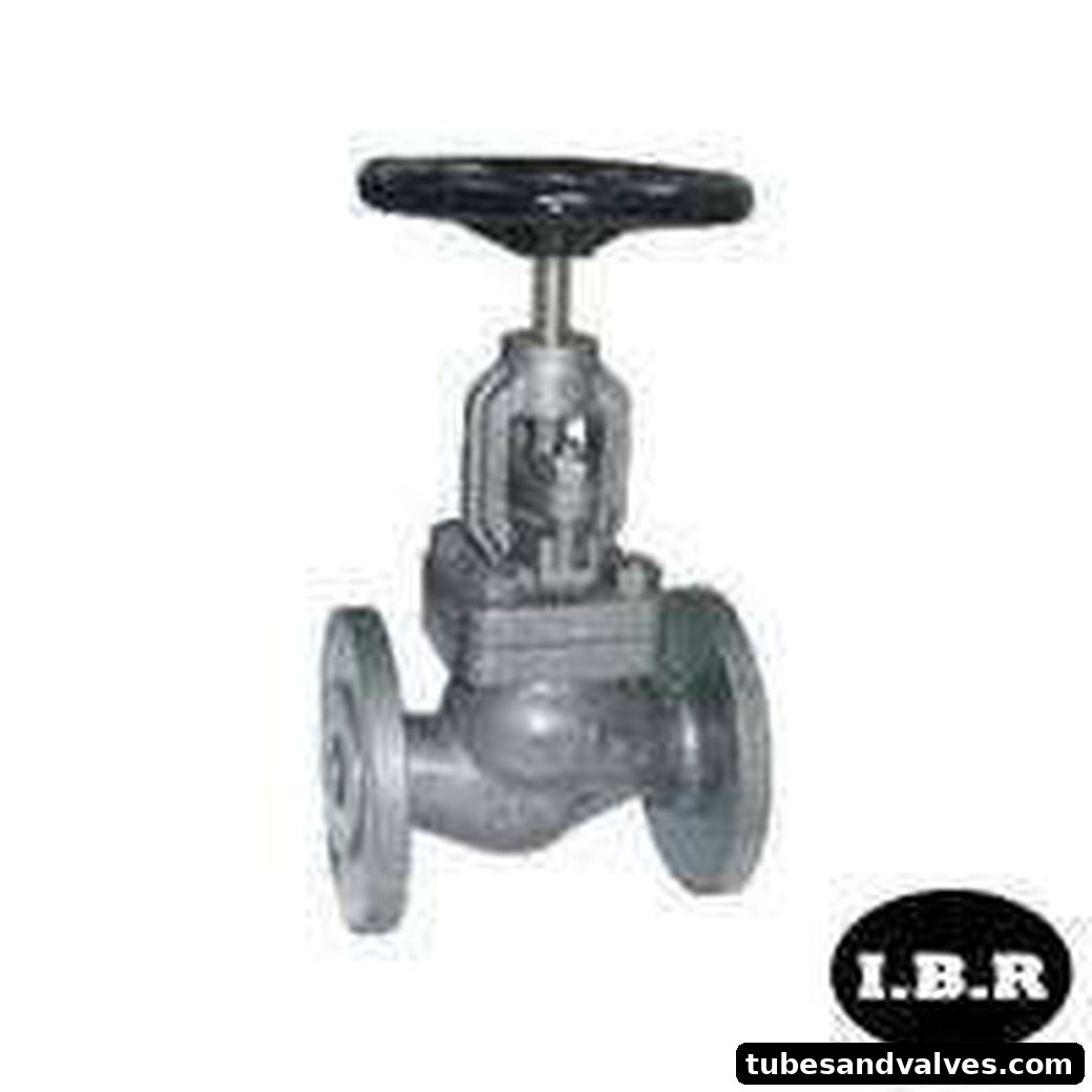 Cast Iron Globe Valve Pn-10 F/E Atam IBR