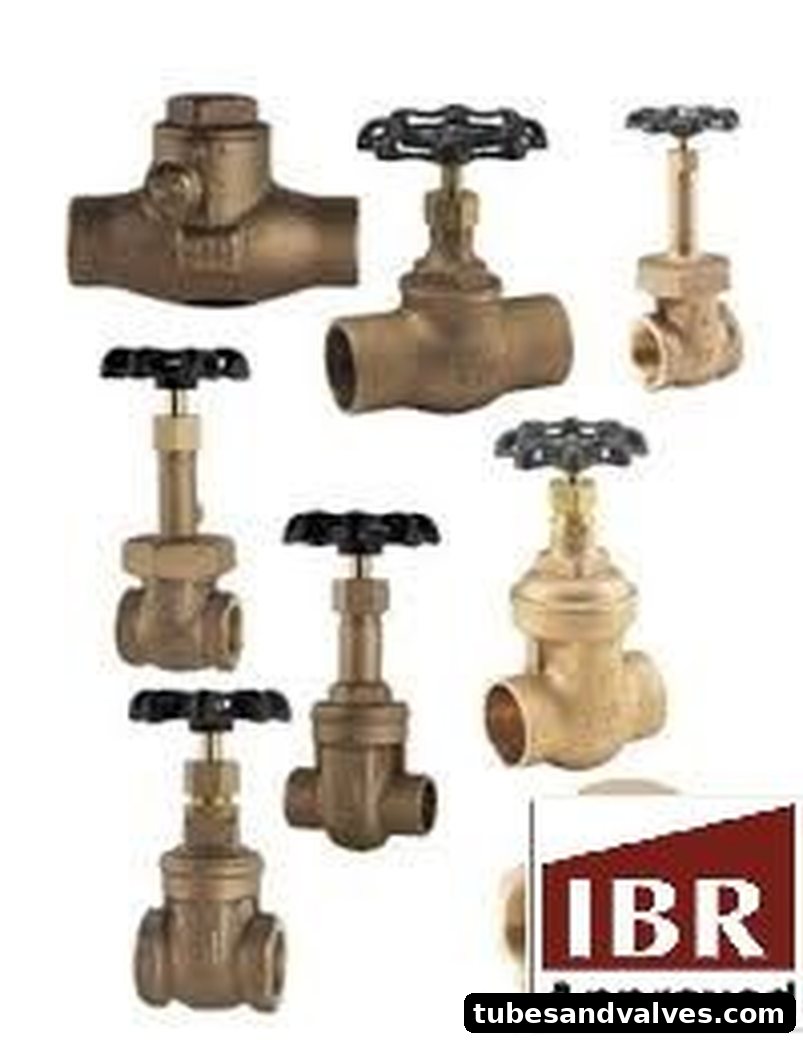 Bronze IBR Valves
