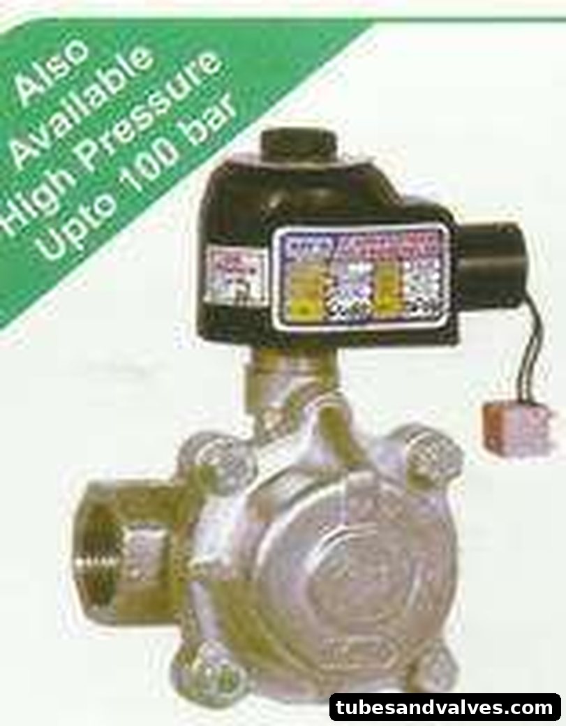 2 Way Piston Type Steam Soleniod Valve