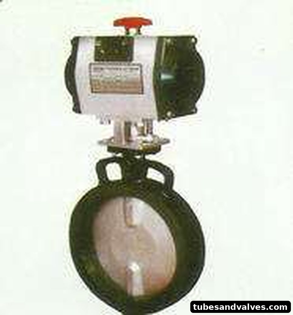 Butterfly With Pneumatic Actuator
