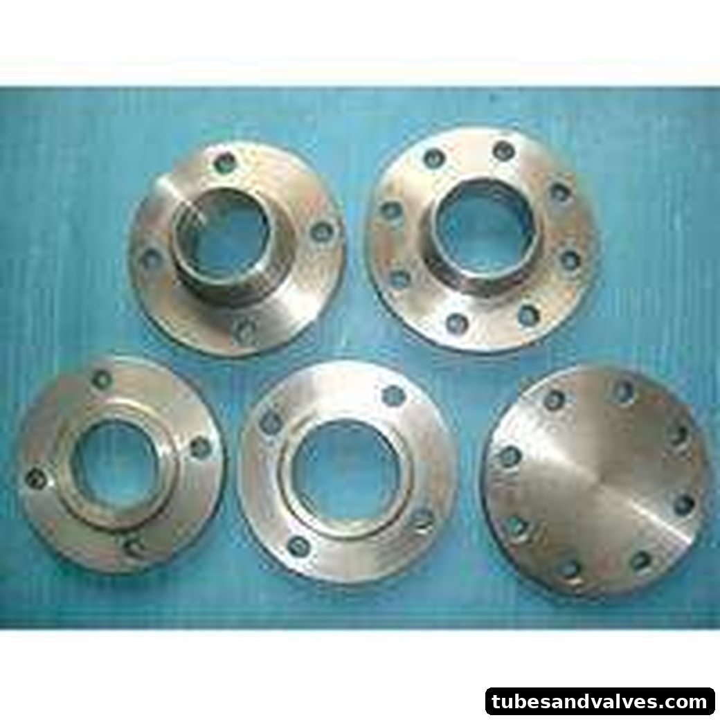 SS 304 Flange