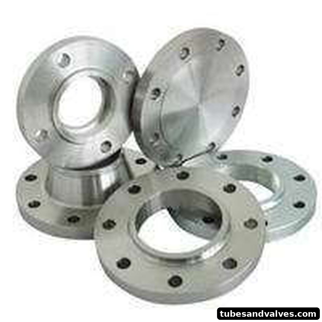 SS 316 Flange