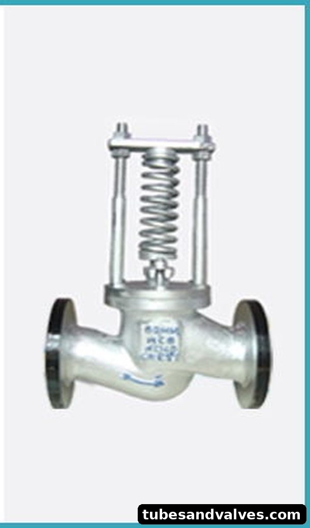 Cast Carbon Steel ND-40 Stright Patentspring Loaded Safety Valve Flanged