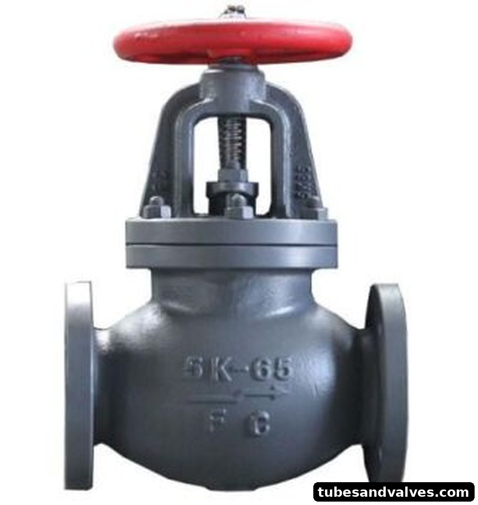 Cast Iron Globe Check Valve ALTO