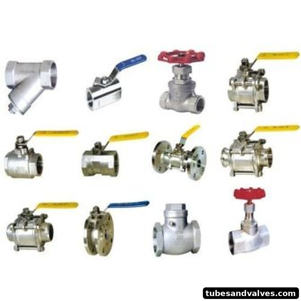 SS Valves