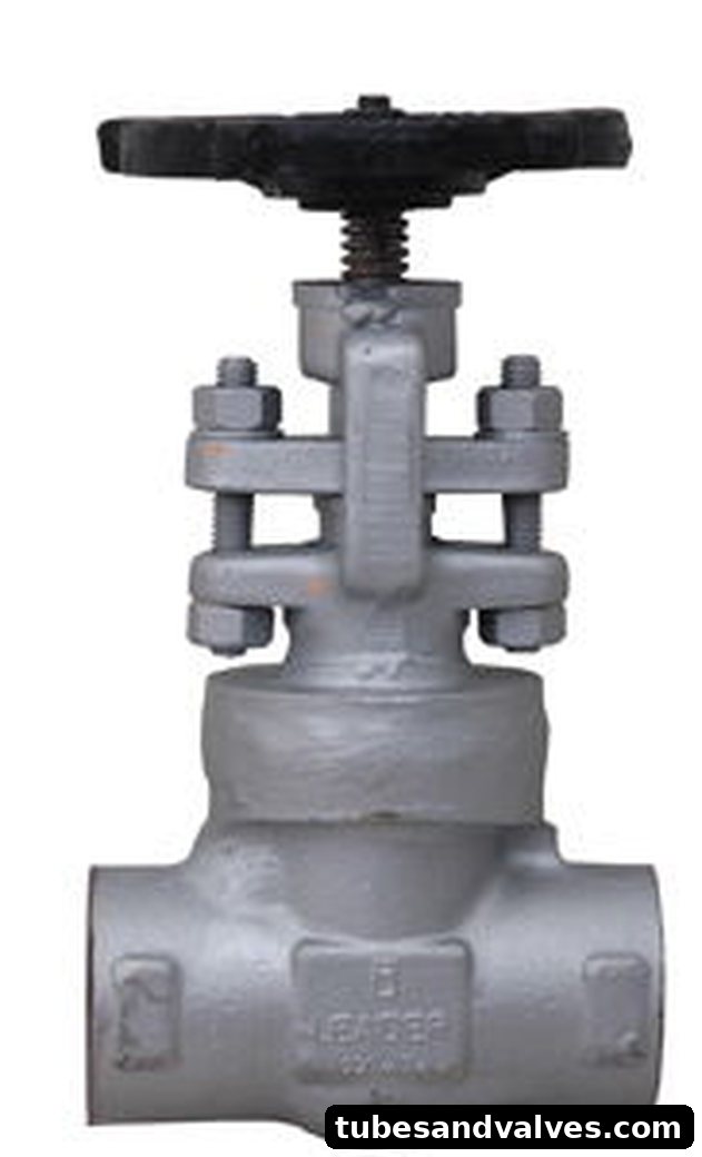 LEADER MAKE FCS GLOBE VALVE 800 LBS IBR