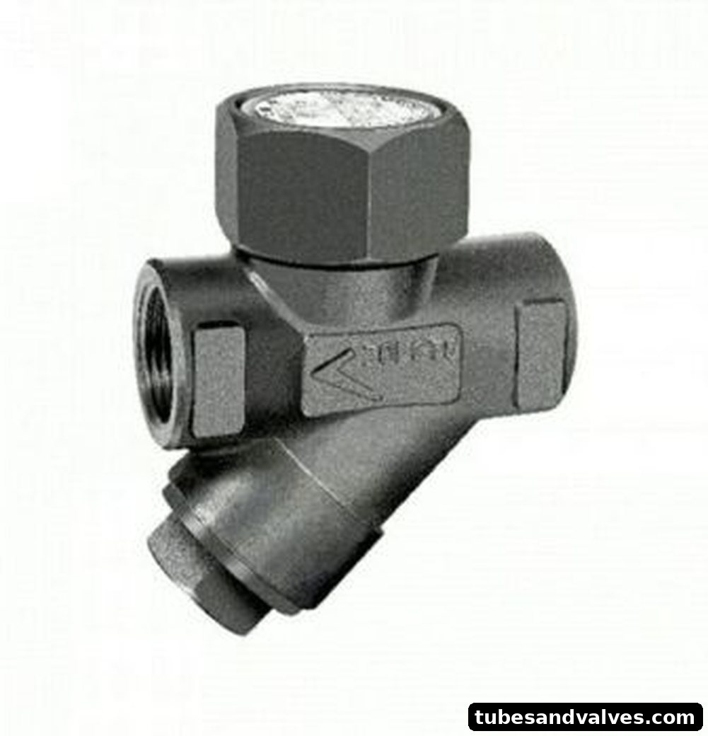 LEADER MAKE FCS THERMODYNAMIC STEAMTRAP  800 LBS IBR