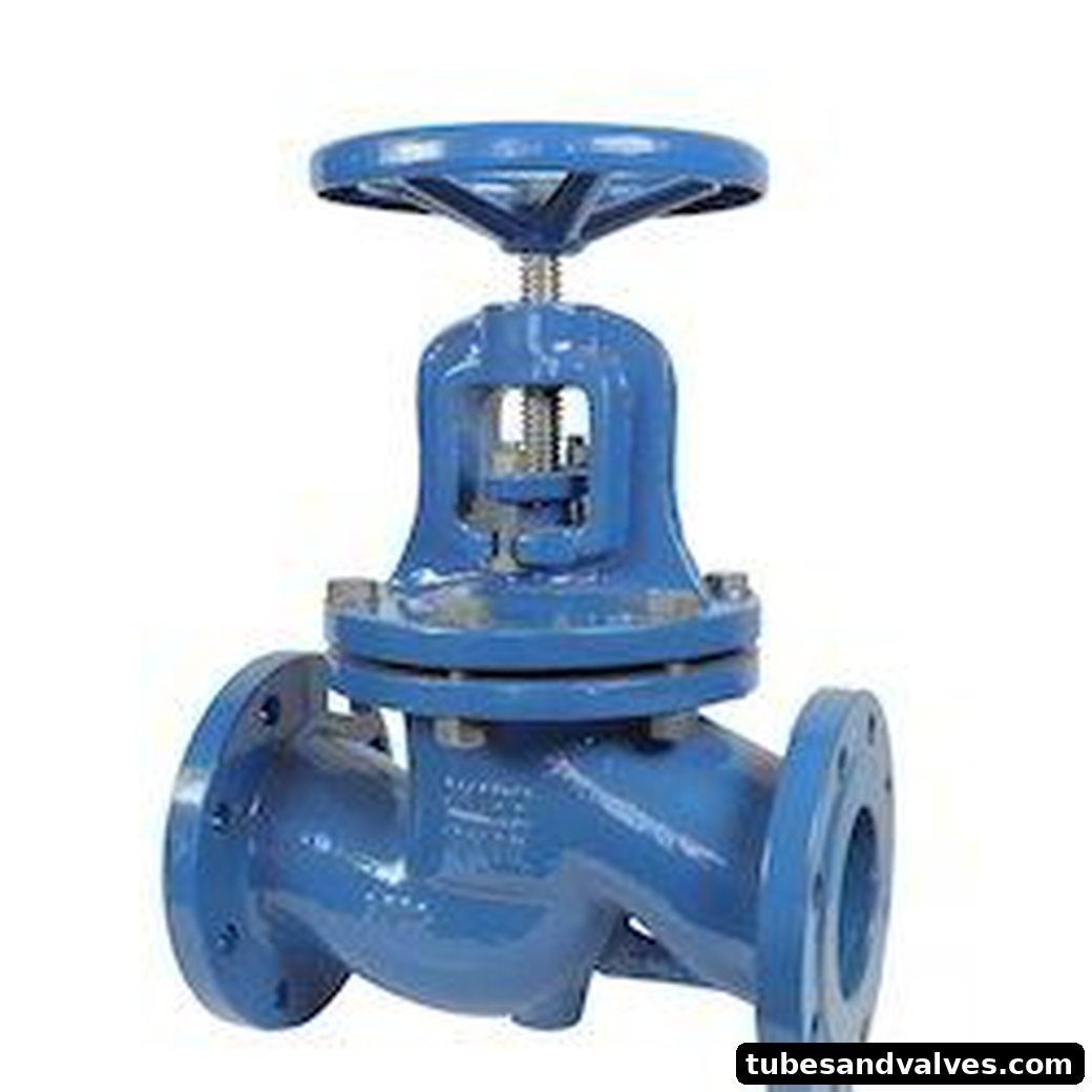 LEADER MAKE CI GOBE VALVE FLANGED END TO PN 16