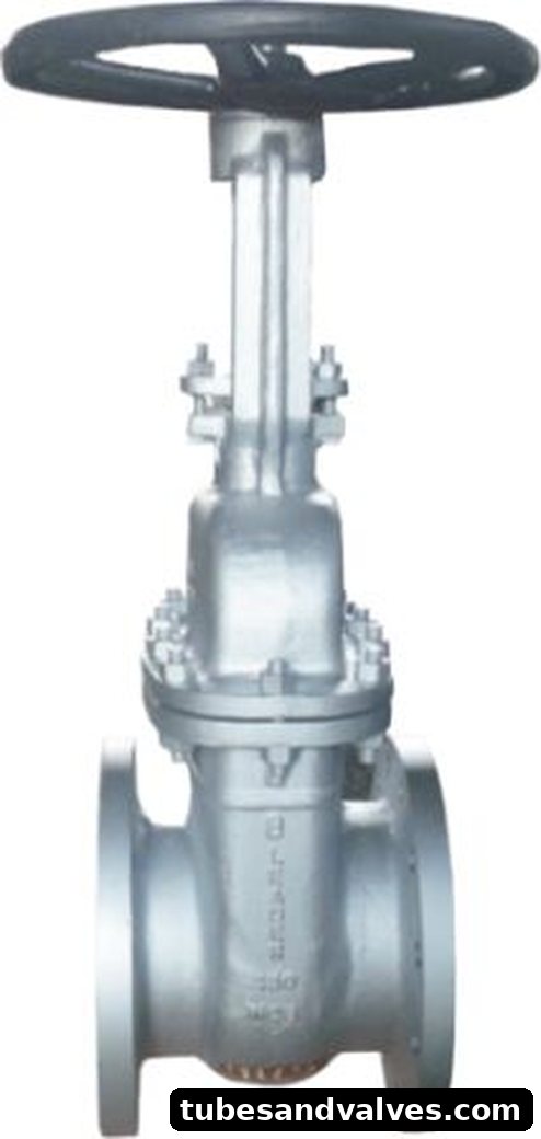LEADER MAKE CAST STEEL GATE VALVE FLANGED END CLASS 150
