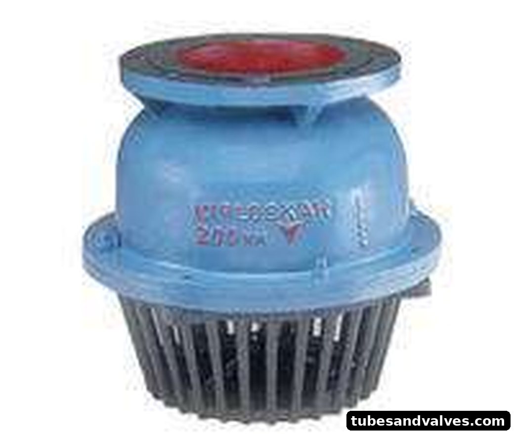 Foot Valve