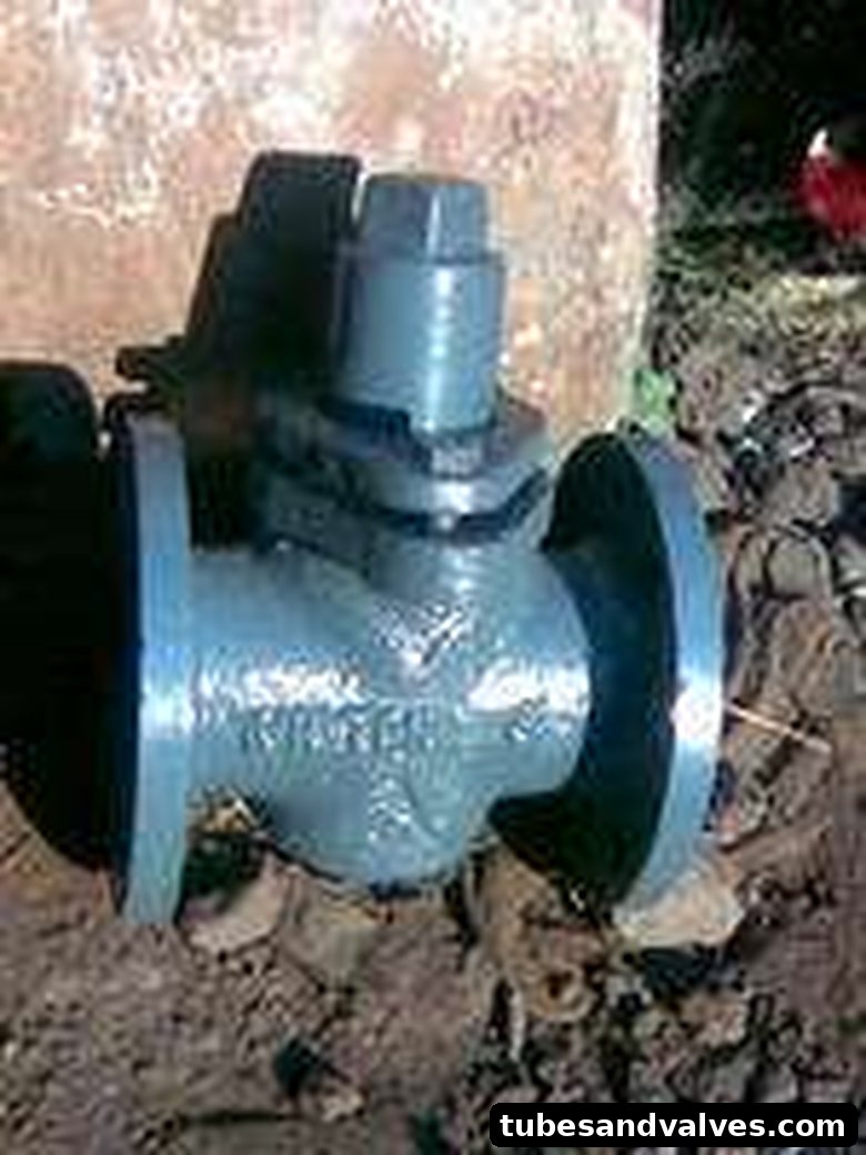 Gland Valve