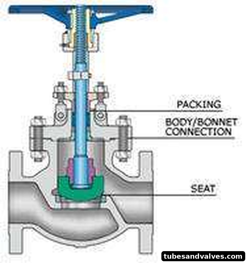 Globe Valve