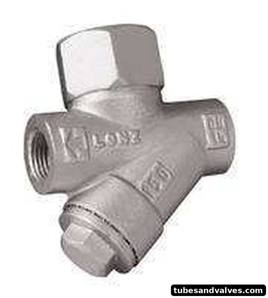 Steam Trap