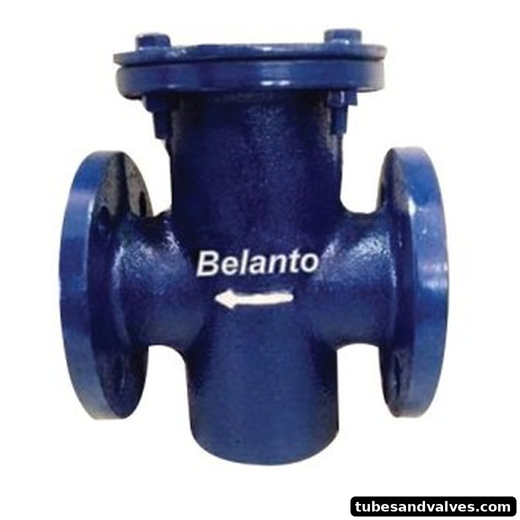 Strainer for water meter