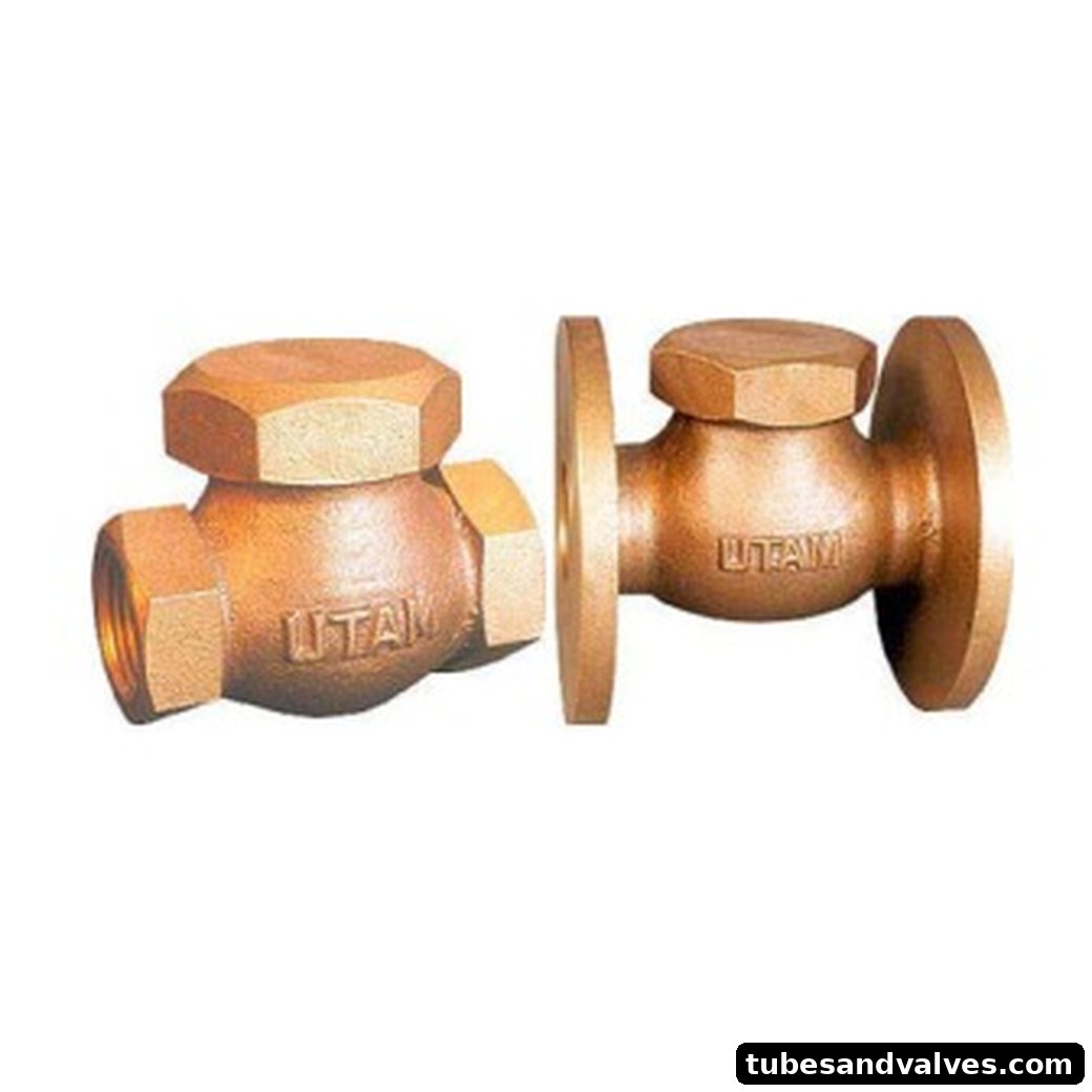 GM Check Valves