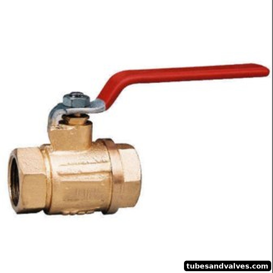 R Brand GUN METAL BALL VALVES WITH BRASS/SS. , SS SPINDLE WORKING PARTS TEFLON SEATS ( AISI : 410)