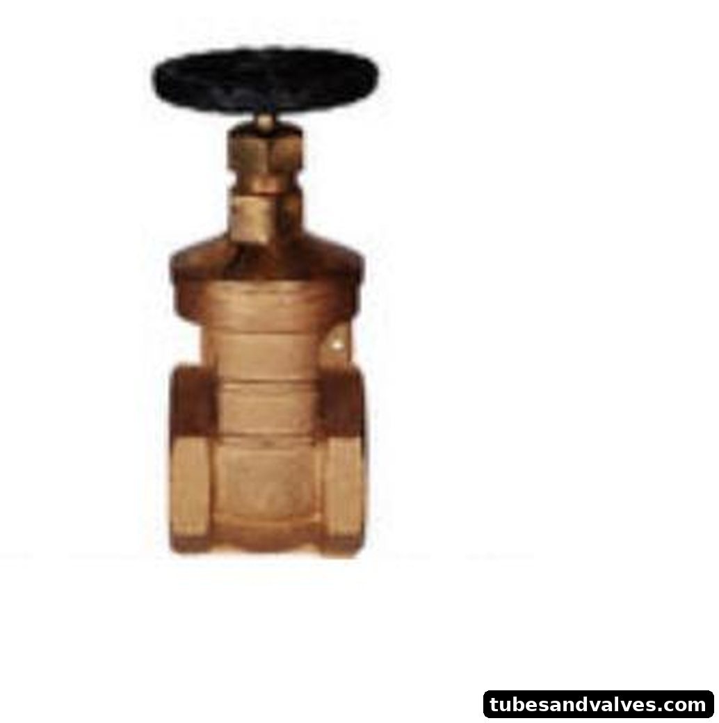 R-Brand GUN METAL TANKER VALVE DOUBLE SET