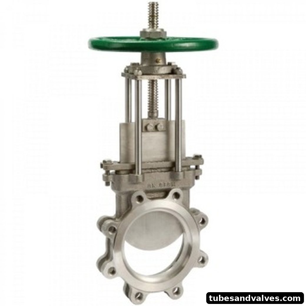 SS Knife edge gate valve