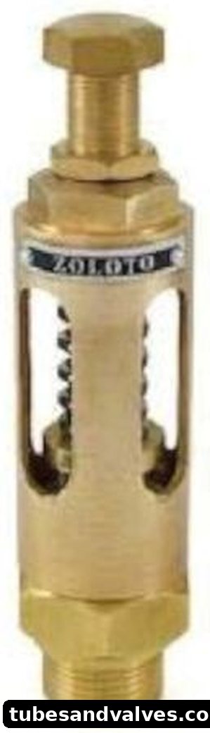 zoloto bronze spring loaded safety relief valve open discharge screwed