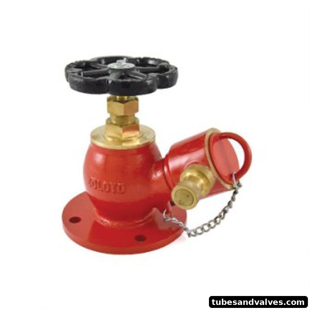 ZOLOTO LANDING FIRE HYDRANT VALVES