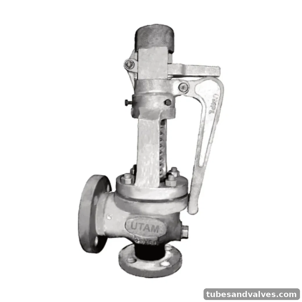 UTAM UV-218-S FULL LIFT SAFETY VALVE product image