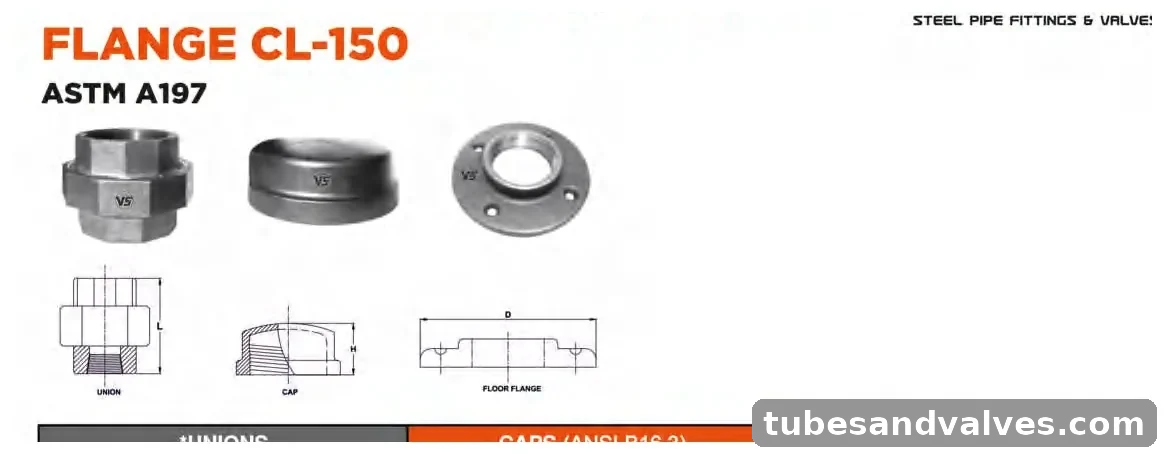 VS VSMF-1006 Malleable Iron Threaded Union/Cap/Floor Flange CL-150 product image