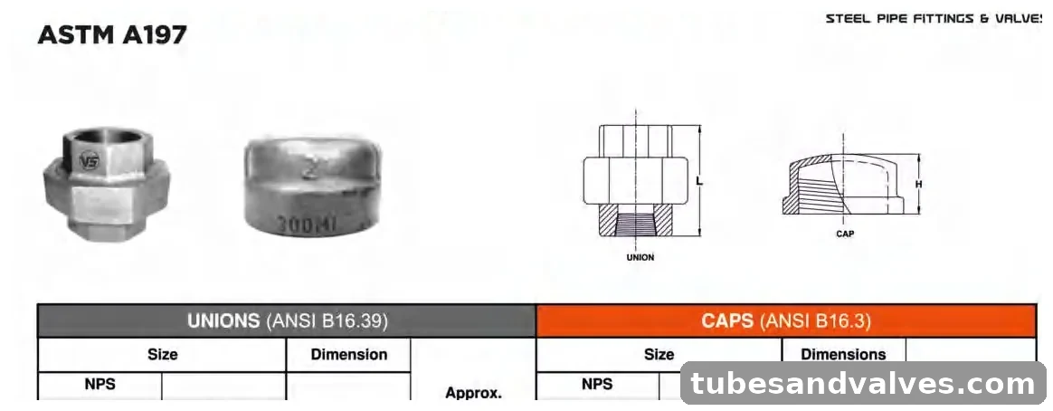 VS VSMF-1010 Malleable Iron Threaded Union/Cap CL-300 product image