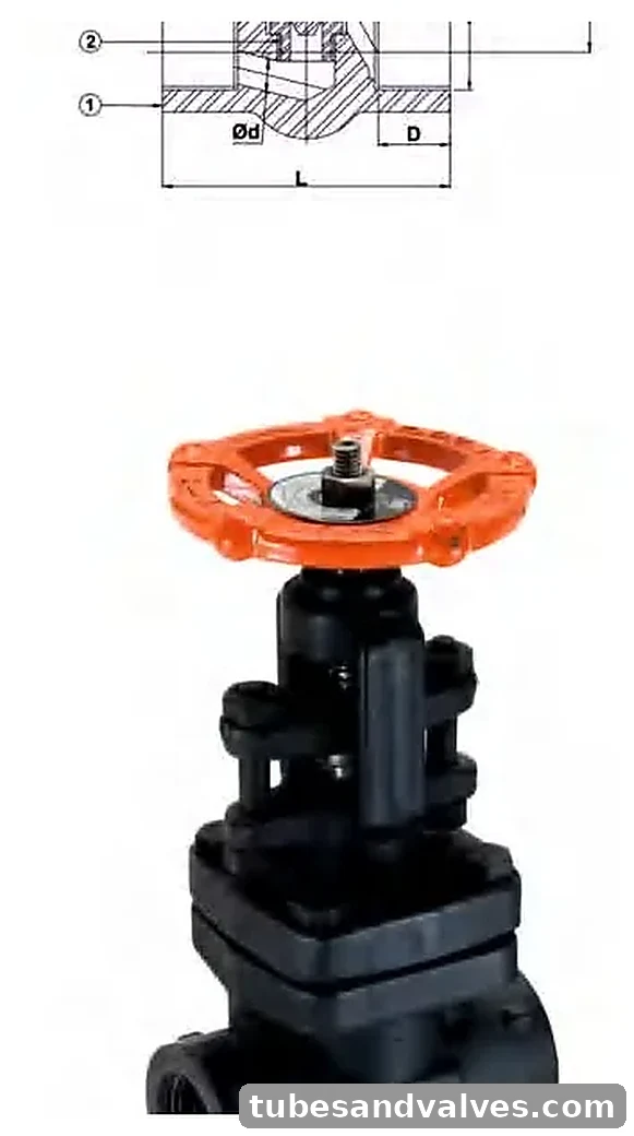 FORGED STEEL GLOBE VALVE Class 800 (reduced bore) product image