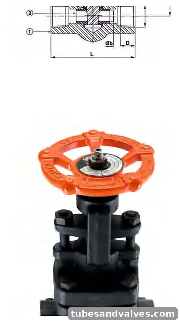 FORGED STEEL Gate valve Class 800 (FULL BORE) product image