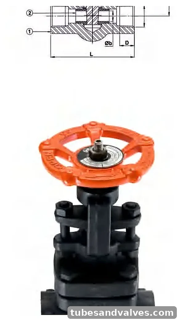 FORGED STEEL Gate valve Class 800 (reduced bore) product image