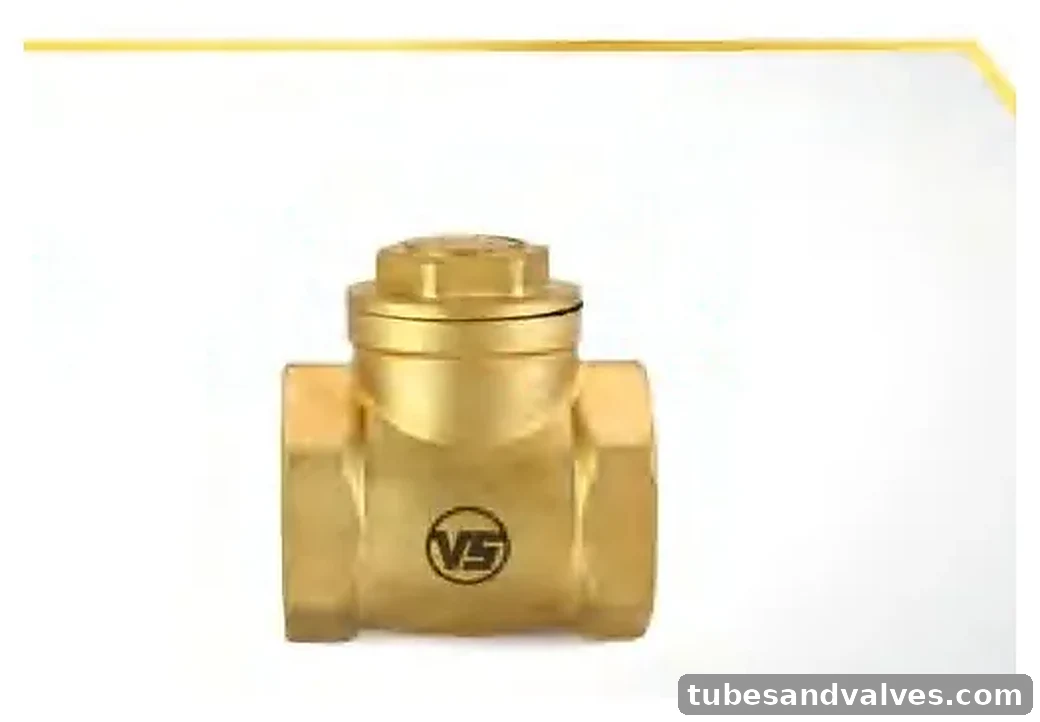 VS VSV-1013 Forged Brass Horizontal Swing Check Valve PN-25 product image
