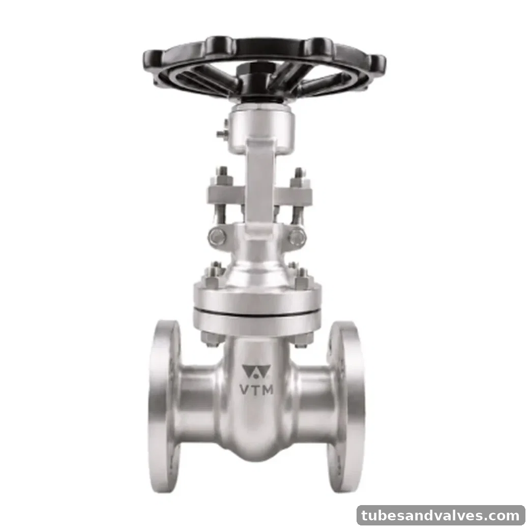 VTM VA-115 WCB GATE VALVE F/E product image