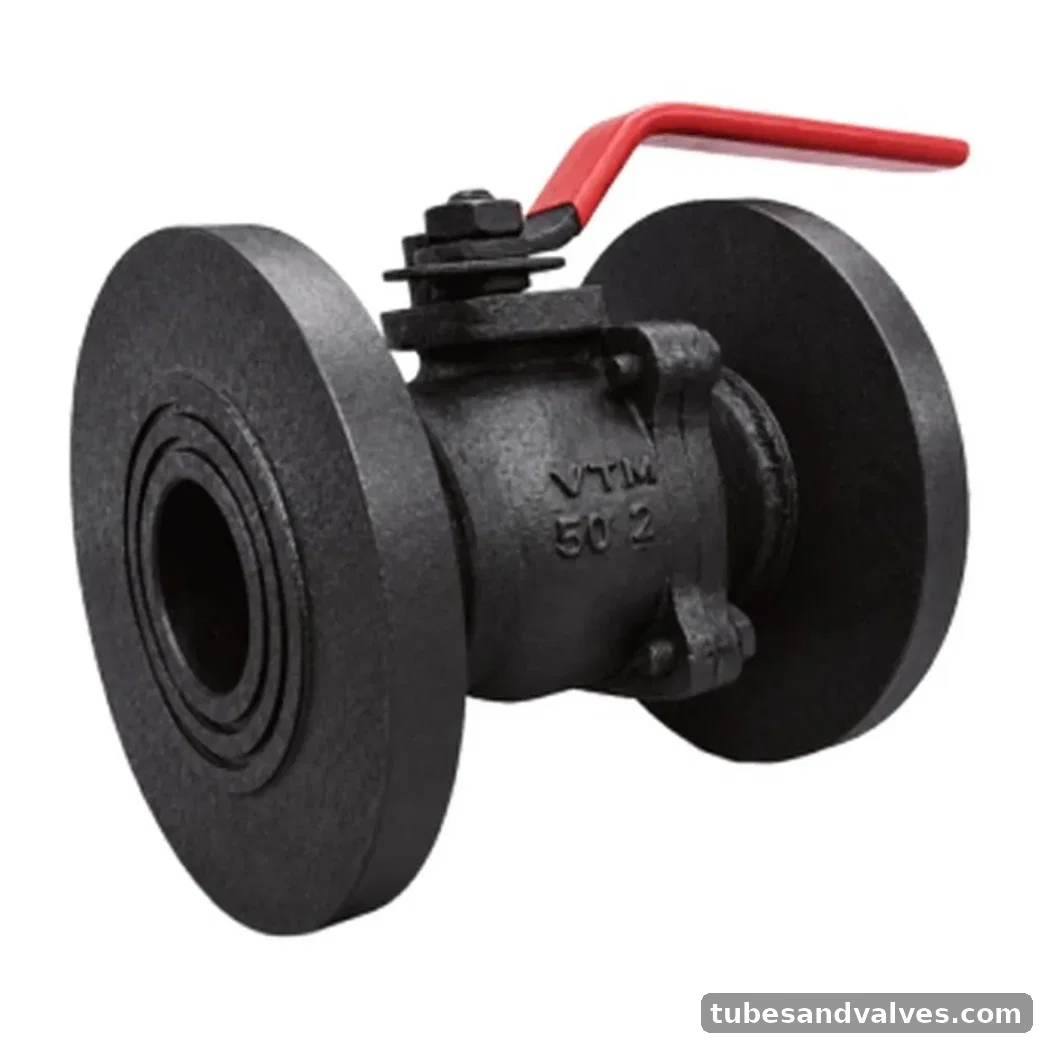 VTM VA-24 C.I. BALL VALVE 2 PC DESIGN F/E product image
