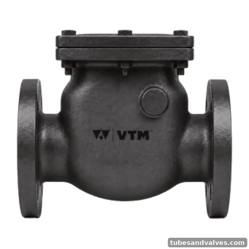 VTM VA-25 C.I. REFLUX TYPE SWING CHECK VALVE F/E product image
