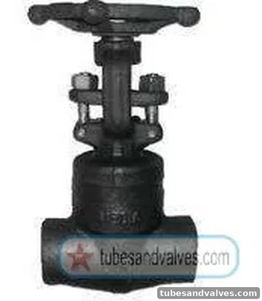 15mm (1/2") FCS - FORGED CARBON STEEL GATE VALVE Socket Weld IBR FLOWJET